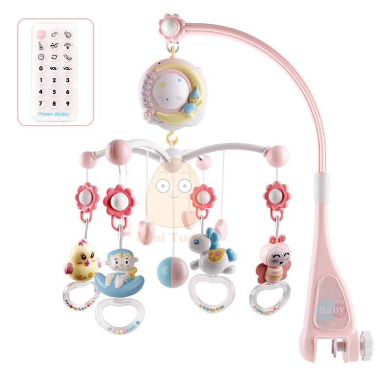 Baby Toys 0-12 Months for Newborn