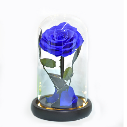 Happy Valentine 's Day Beauty And The Beast Stabilizzate Dome. Rose Dome Favors Glass Dome Rose On Glass LED In Glass Preserved baby magazin 