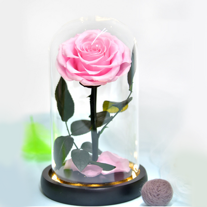 Happy Valentine 's Day Beauty And The Beast Stabilizzate Dome. Rose Dome Favors Glass Dome Rose On Glass LED In Glass Preserved baby magazin 