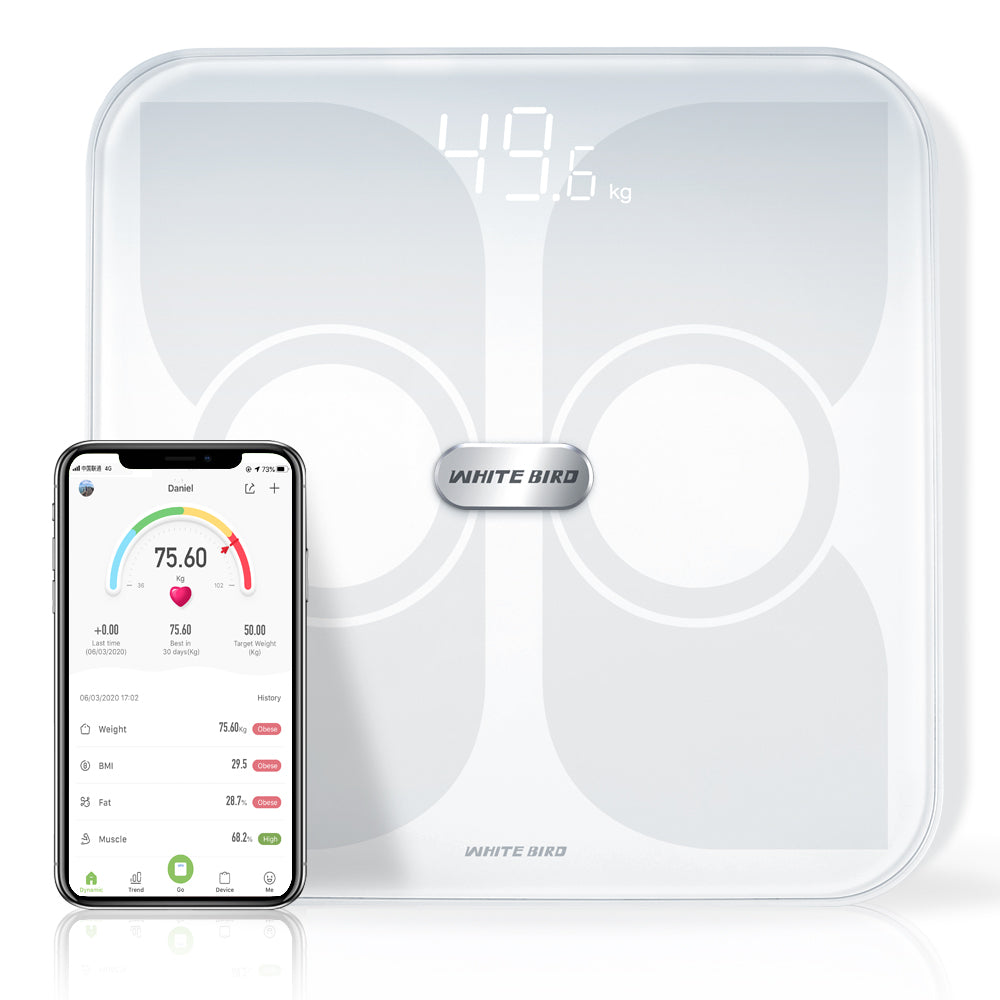 electronic body weight scale
